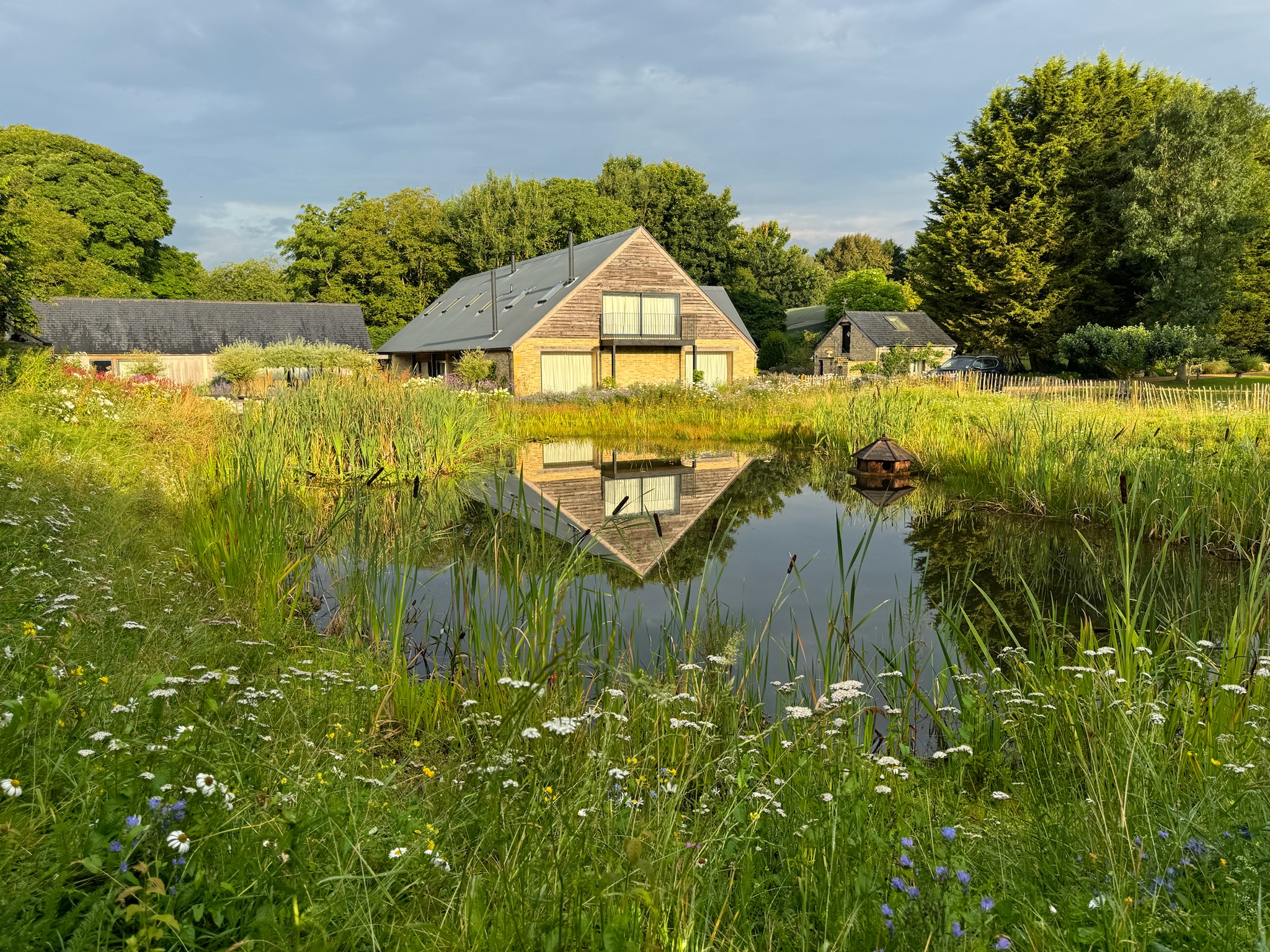 Wildlife pond, wildflowers, reflections and barn conventions